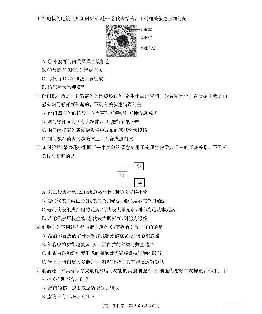 山西省三晋联盟山西名校2025-2026学年高一上学期11月期中联合考试（26-126A）生物试卷及答案第3页