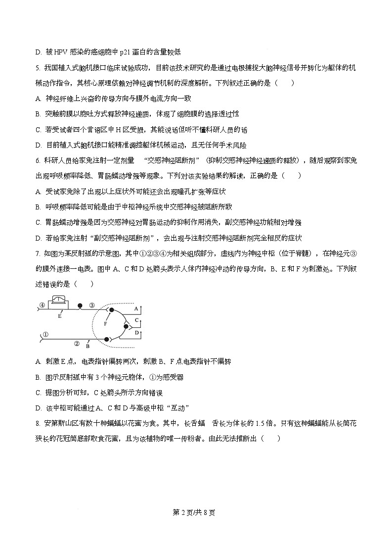 安徽省A10联盟＆宿州十三校2025-2026学年高二上学期11月期中质量检测生物C试卷 Word版无答案第2页