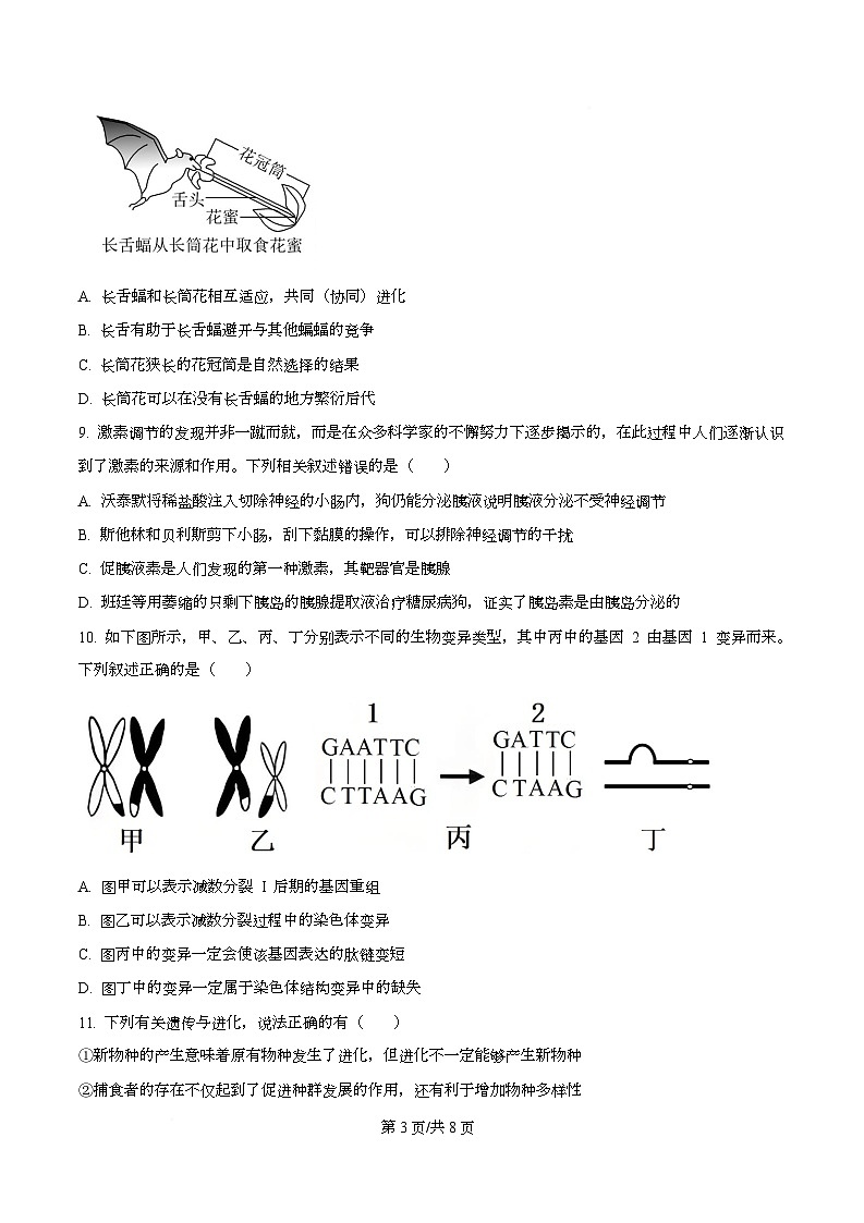 安徽省A10联盟＆宿州十三校2025-2026学年高二上学期11月期中质量检测生物C试卷 Word版无答案第3页