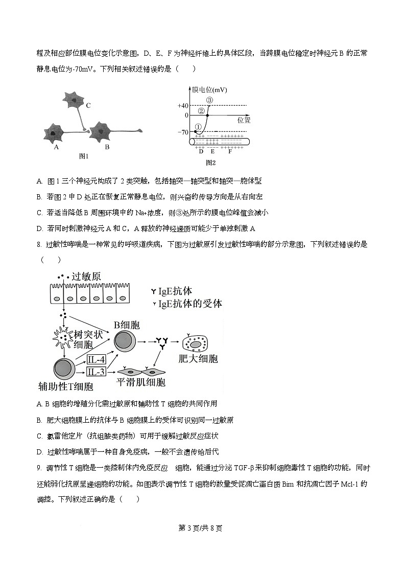 A10联盟＆宿州十三校2025-2026学年高二上学期11月期中质量检测生物学试题 Word版无答案第3页