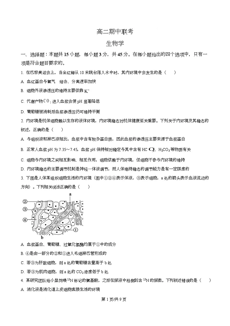 安徽省部分学校2025-2026学年高二上学期期中联考生物试卷（六安专版） Word版无答案第1页