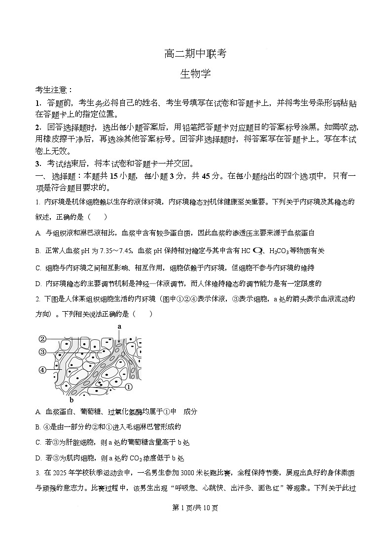 安徽省大联考2025-2026学年高二上学期期中联考生物试卷  Word版无答案第1页