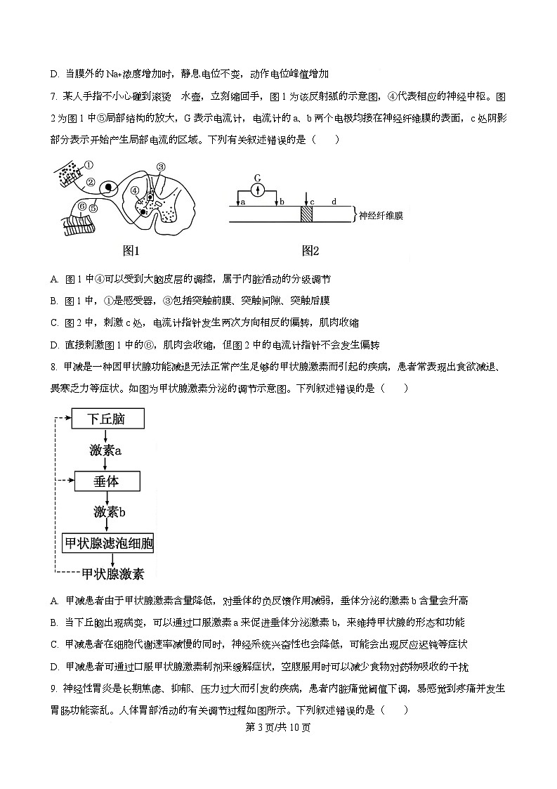 安徽省大联考2025-2026学年高二上学期期中联考生物试卷  Word版无答案第3页