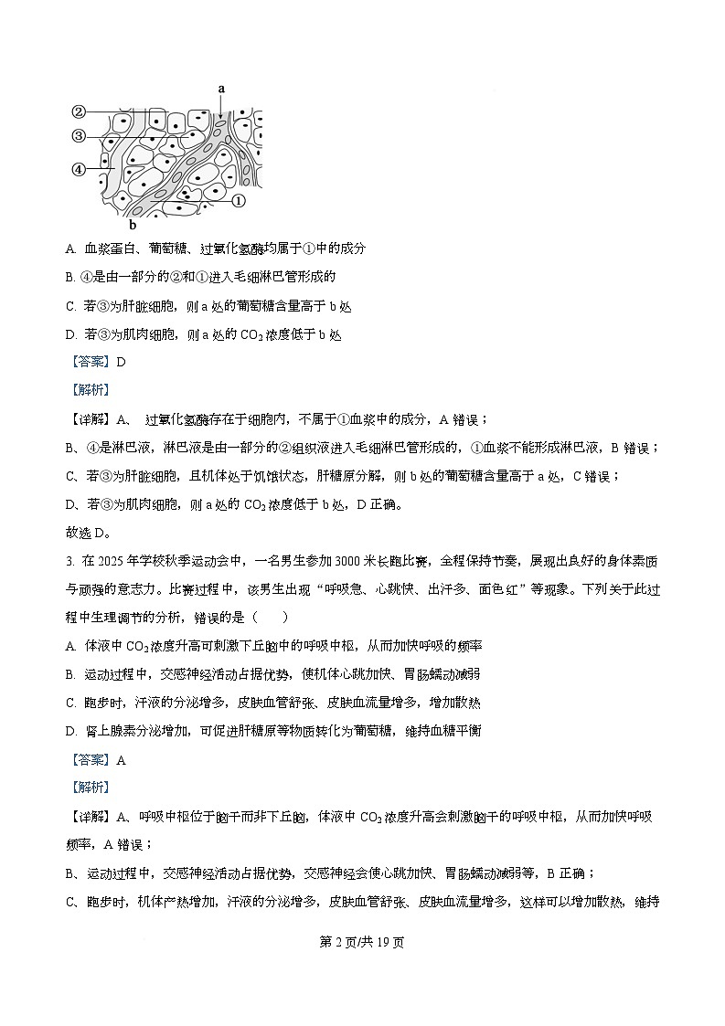 安徽省大联考2025-2026学年高二上学期期中联考生物试卷  Word版含解析第2页