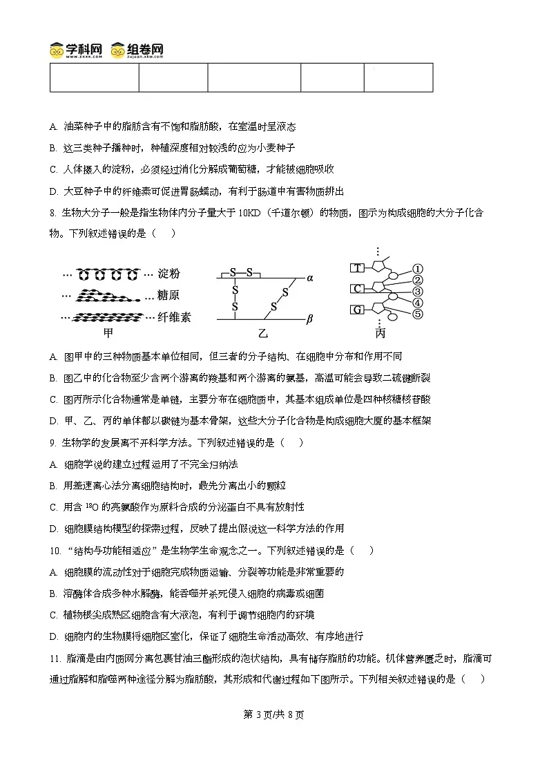 安徽省鼎尖名校大联考2025-2026学年高一上学期11月期中考试生物试题A Word版无答案第3页