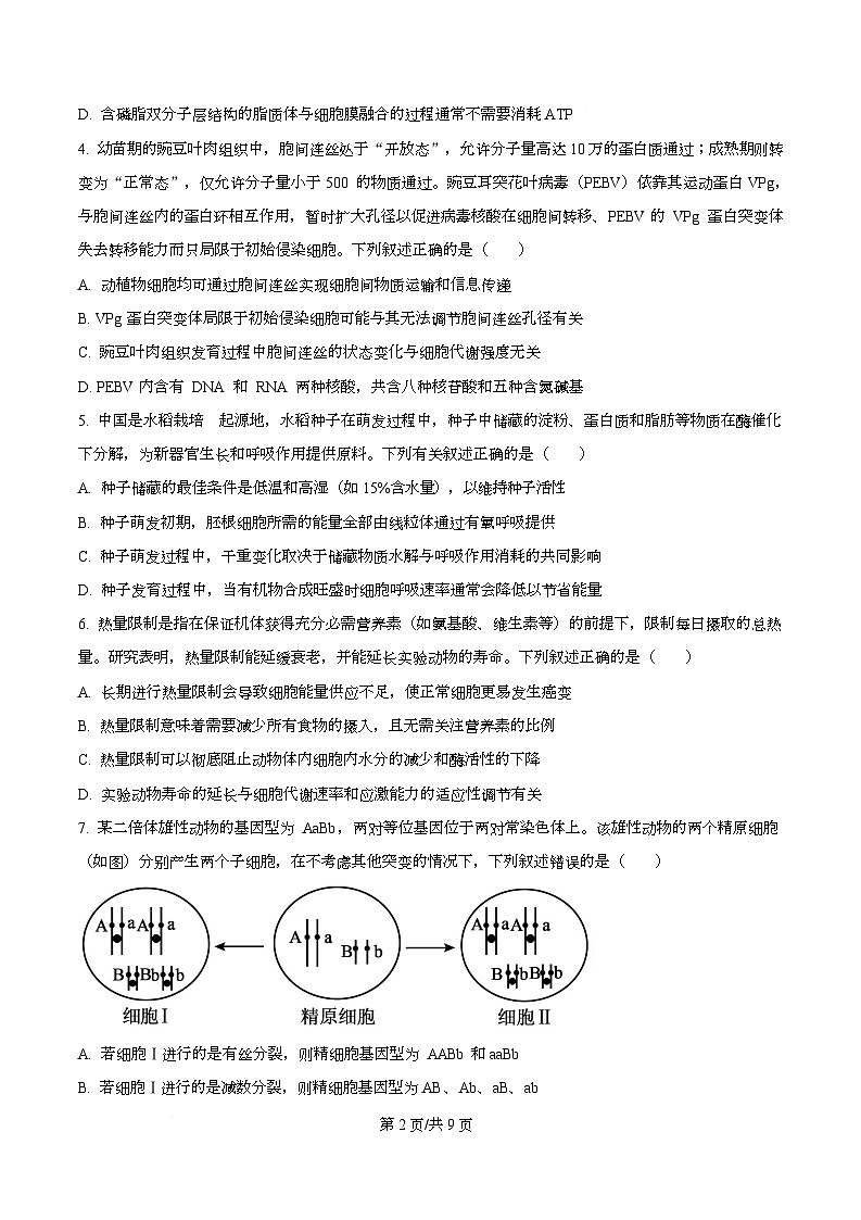 安徽省鼎尖名校联盟2025-2026学年高三上学期11月月考生物试卷  Word版无答案第2页