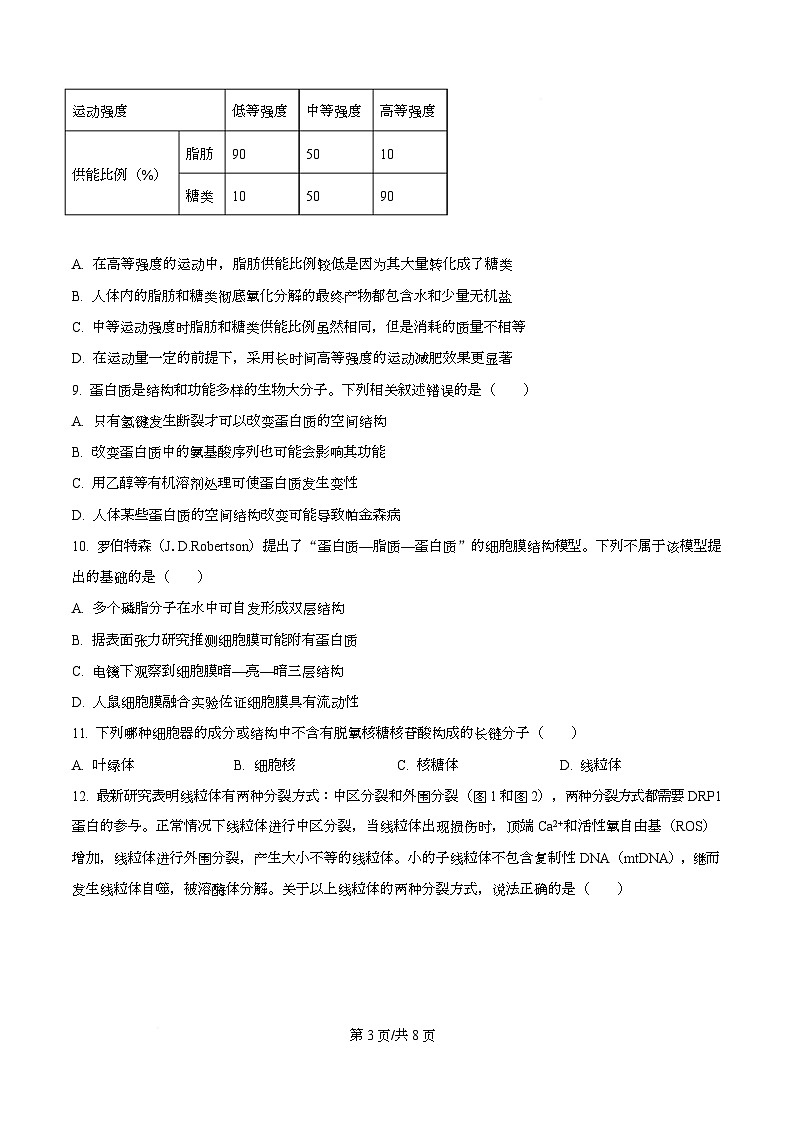 安徽省合肥市第六中学2025-2026学年高一上学期11月期中生物试题  Word版无答案第3页