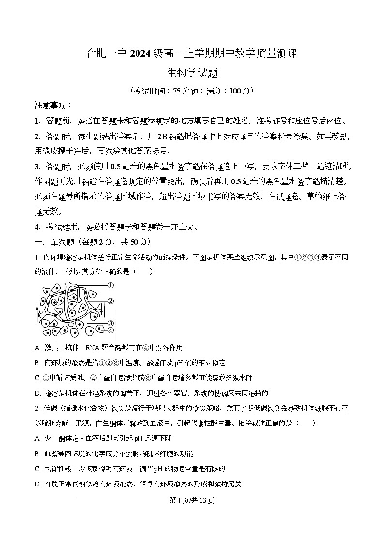 安徽省合肥市第一中学2025-2026学年高二上学期11月期中生物试题  Word版无答案第1页