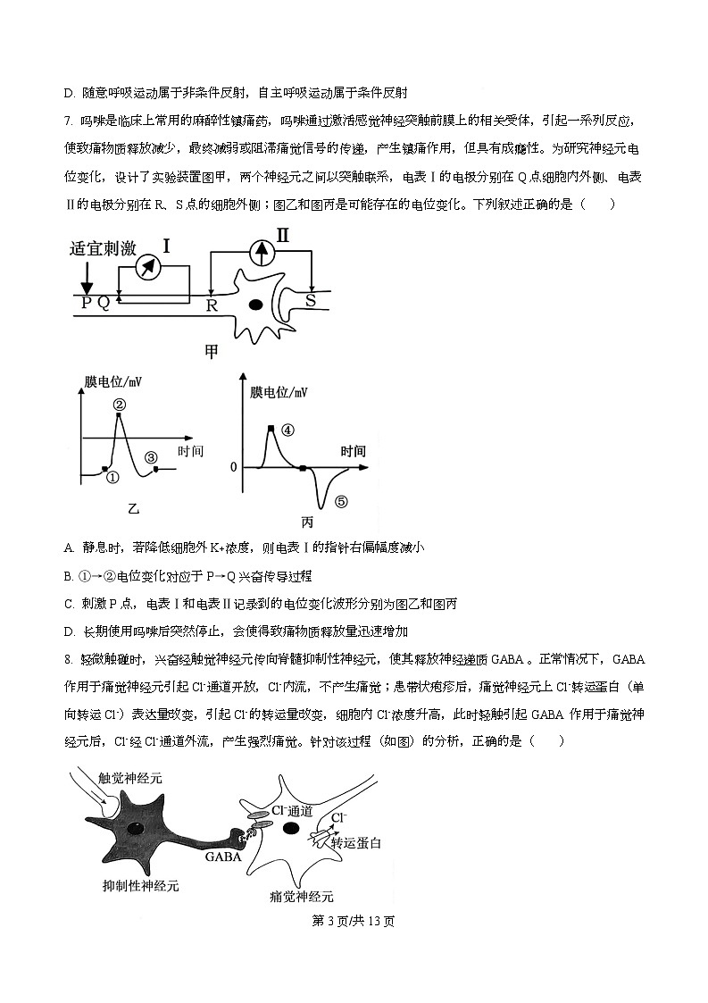 安徽省合肥市第一中学2025-2026学年高二上学期11月期中生物试题  Word版无答案第3页
