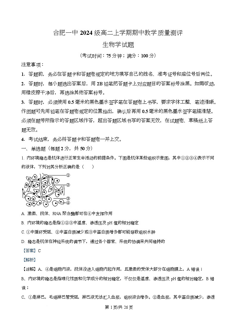 安徽省合肥市第一中学2025-2026学年高二上学期11月期中生物试题  Word版含解析第1页