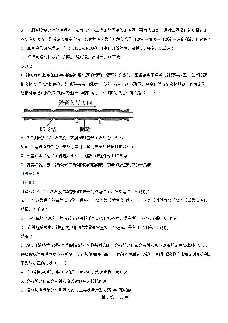 安徽省合肥市第一中学2025-2026学年高二上学期11月期中生物试题  Word版含解析第3页