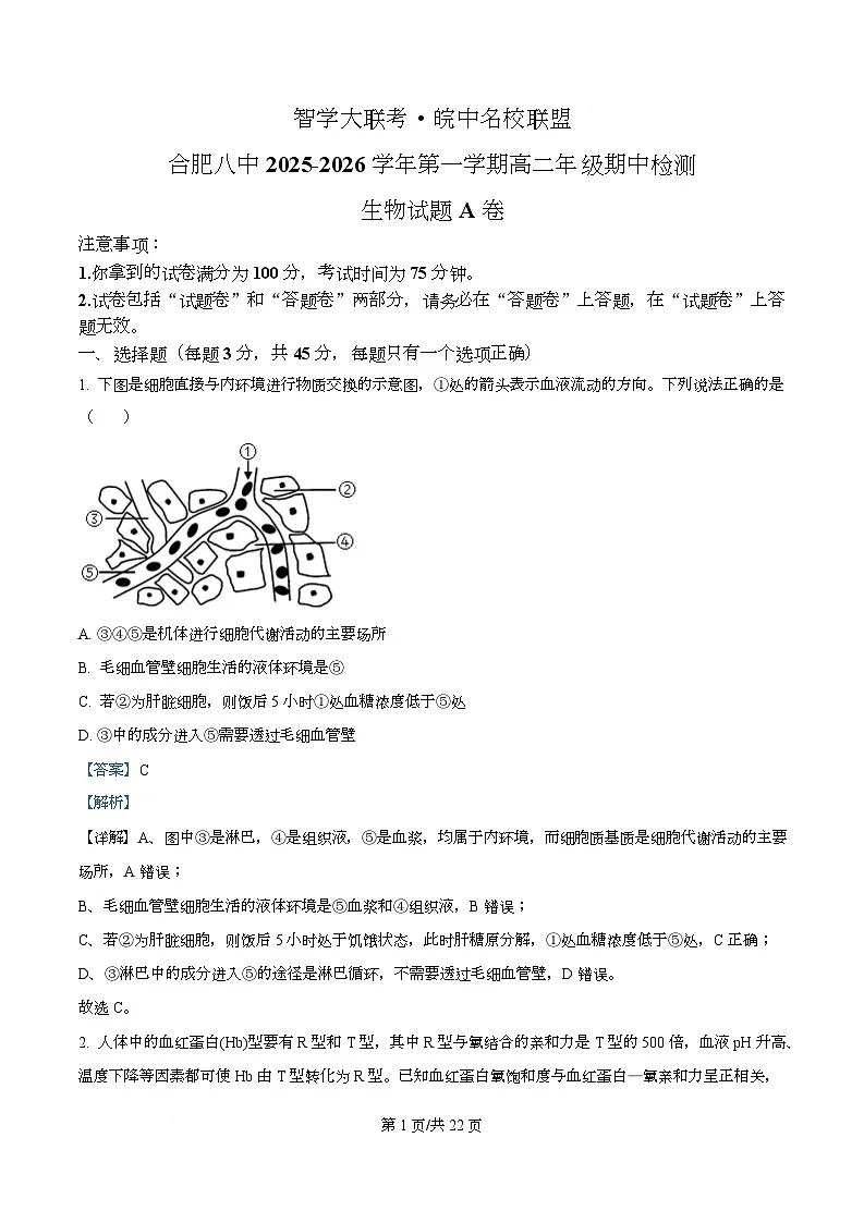 安徽省智学大联考皖中名校联盟（合肥市第八中学）2025-2026学年高二上学期期中考试生物试题A Word版含解析第1页