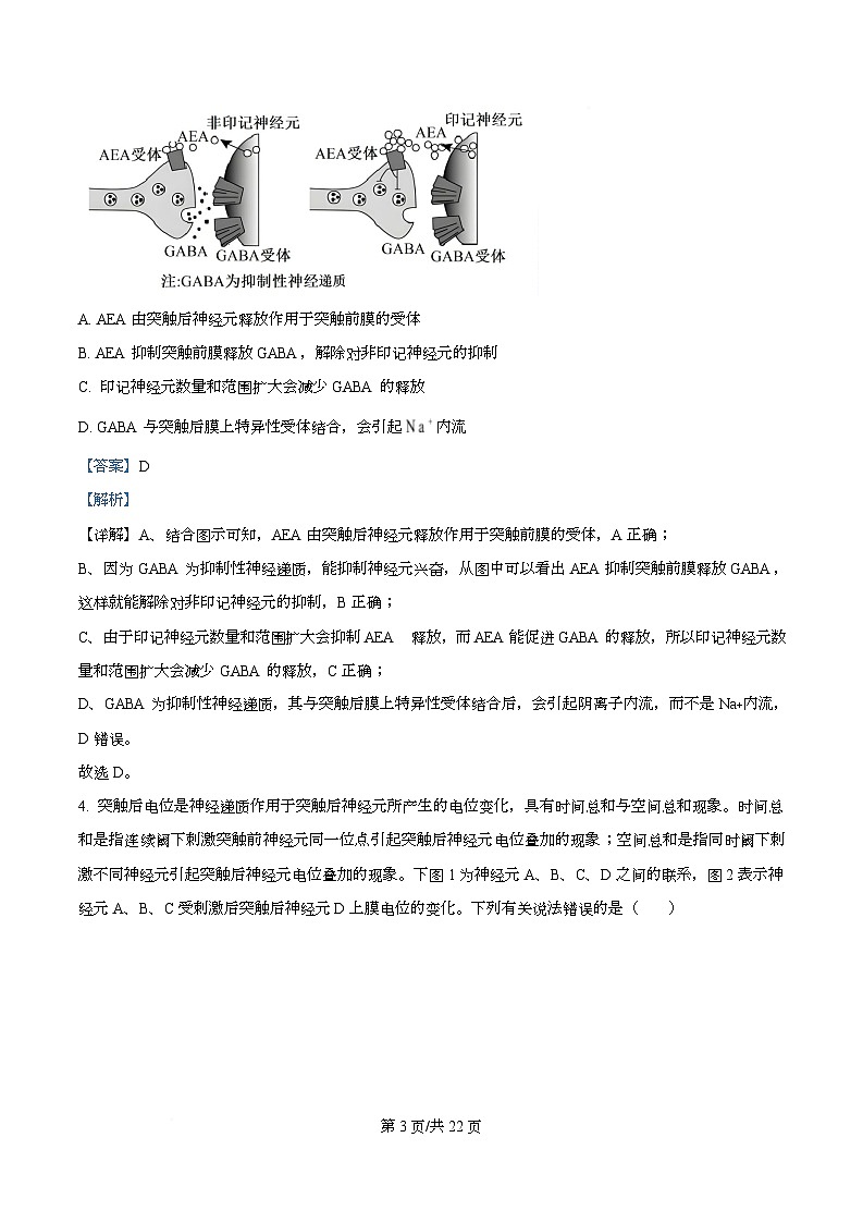 安徽省智学大联考皖中名校联盟（合肥市第八中学）2025-2026学年高二上学期期中考试生物试题A  Word版含解析第3页