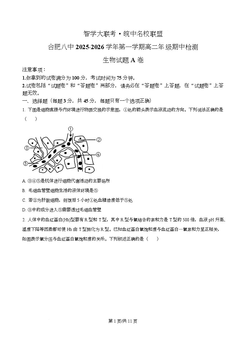 安徽省智学大联考皖中名校联盟（合肥市第八中学）2025-2026学年高二上学期期中考试生物试题A  Word版无答案第1页
