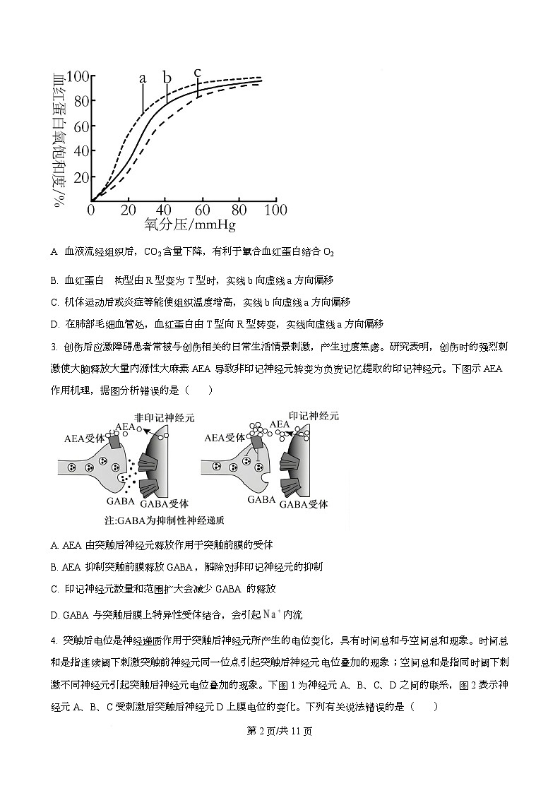 安徽省智学大联考皖中名校联盟（合肥市第八中学）2025-2026学年高二上学期期中考试生物试题A  Word版无答案第2页