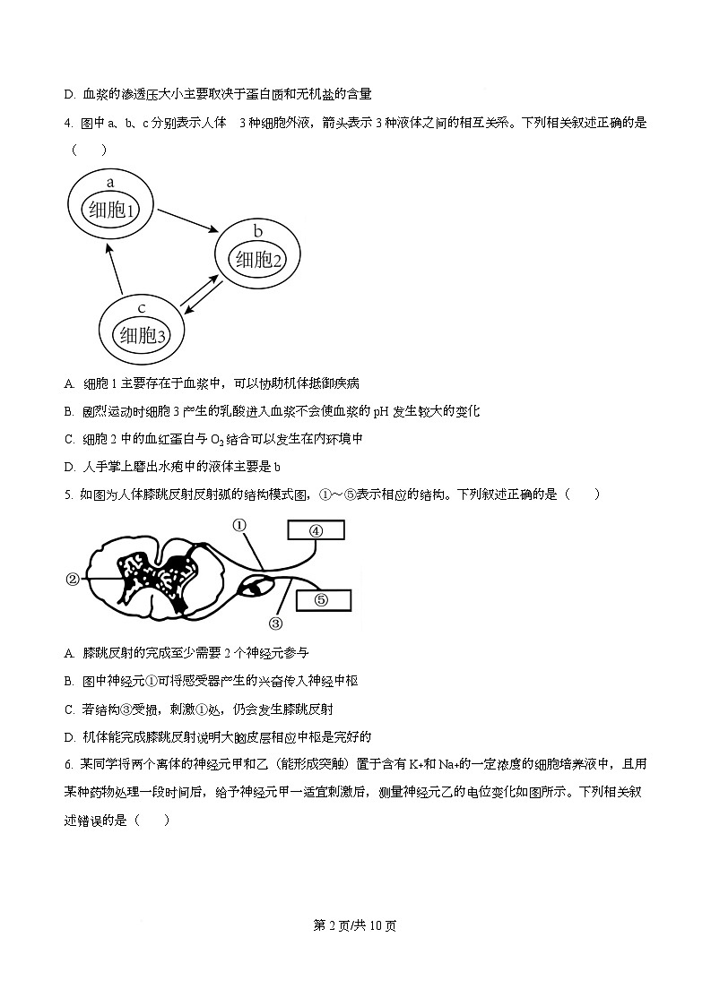安徽省江淮名校2025-2026学年高二上学期阶段联考生物试卷  Word版无答案第2页