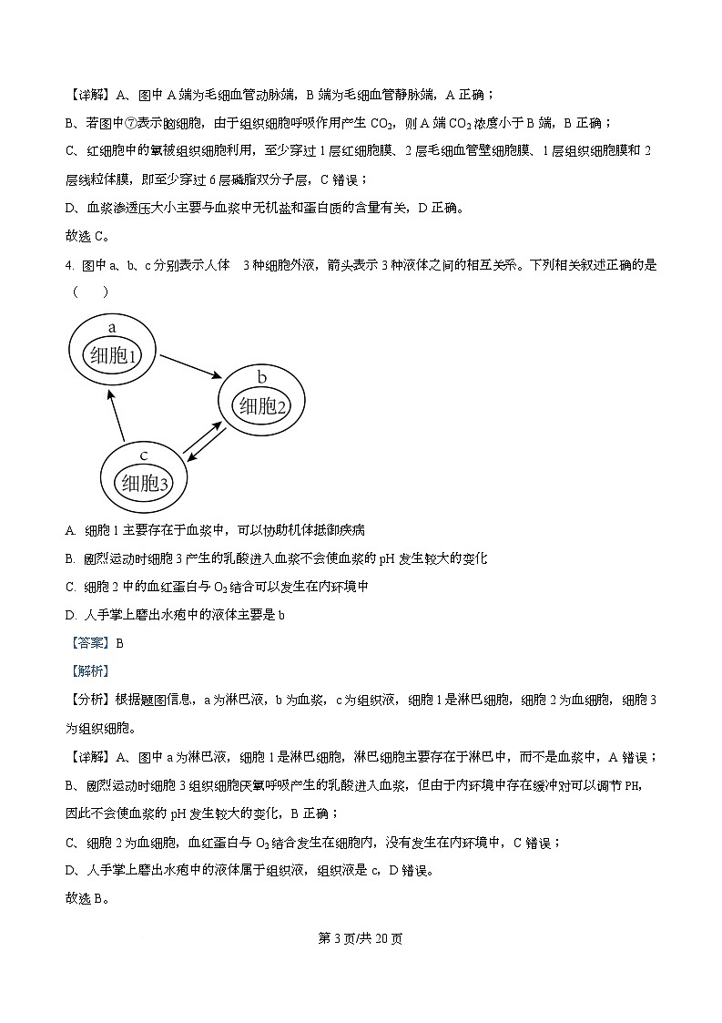 安徽省江淮名校2025-2026学年高二上学期阶段联考生物试卷  Word版含解析第3页