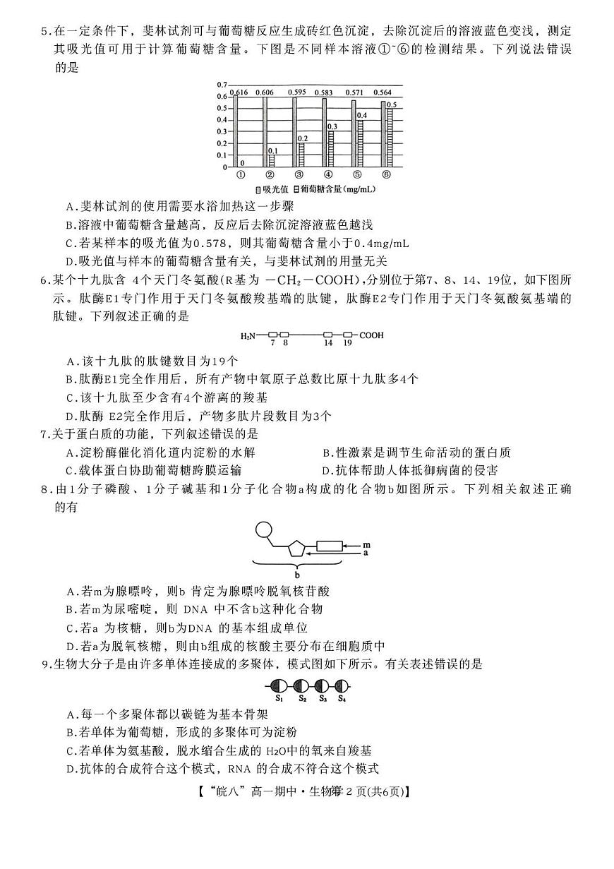 安徽省“皖南八校”2025-2026学年高一上学期期中考试 生物 PDF版含解析第2页