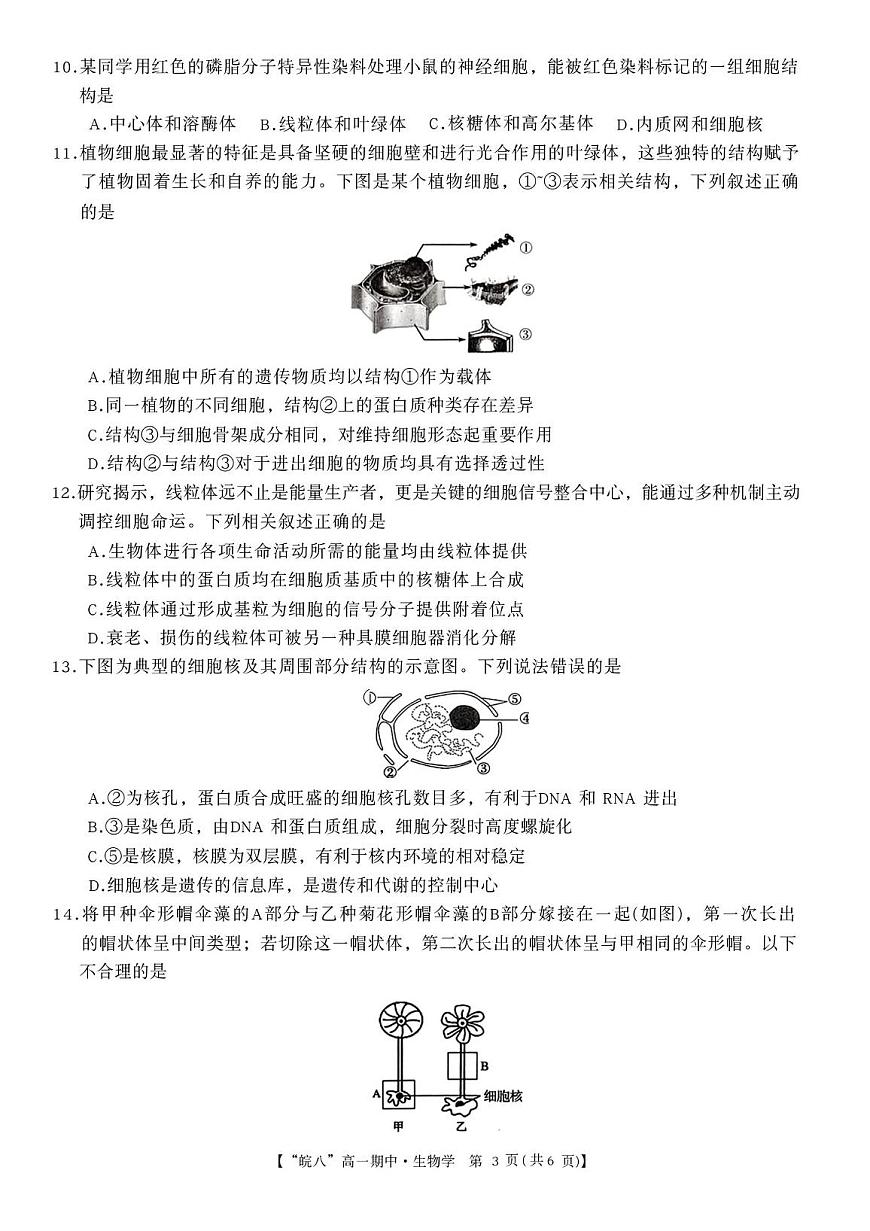 安徽省“皖南八校”2025-2026学年高一上学期期中考试 生物 PDF版含解析第3页