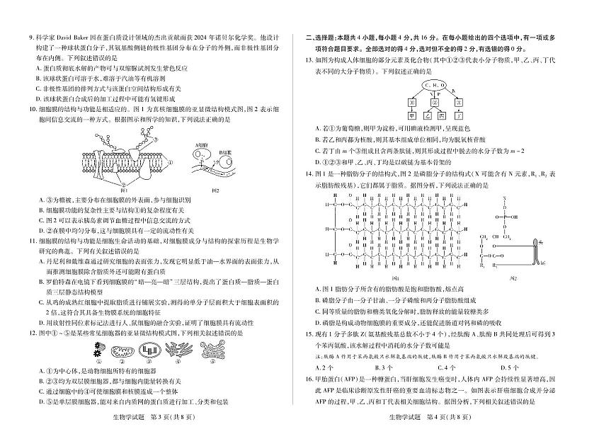 天一大联考湖南湘一名校2025-2026学年高一上学期期中考试生物试卷（含答案）第2页