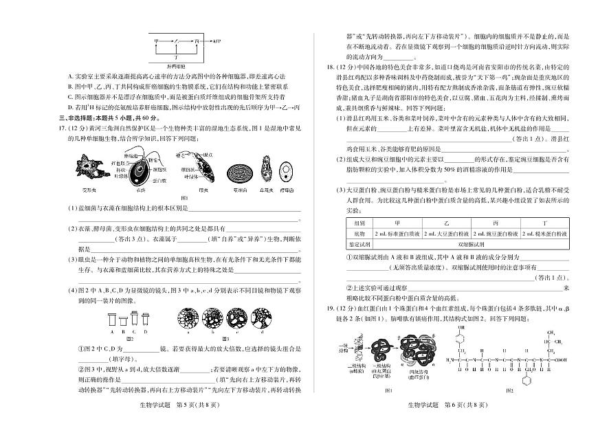 天一大联考湖南湘一名校2025-2026学年高一上学期期中考试生物试卷（含答案）第3页