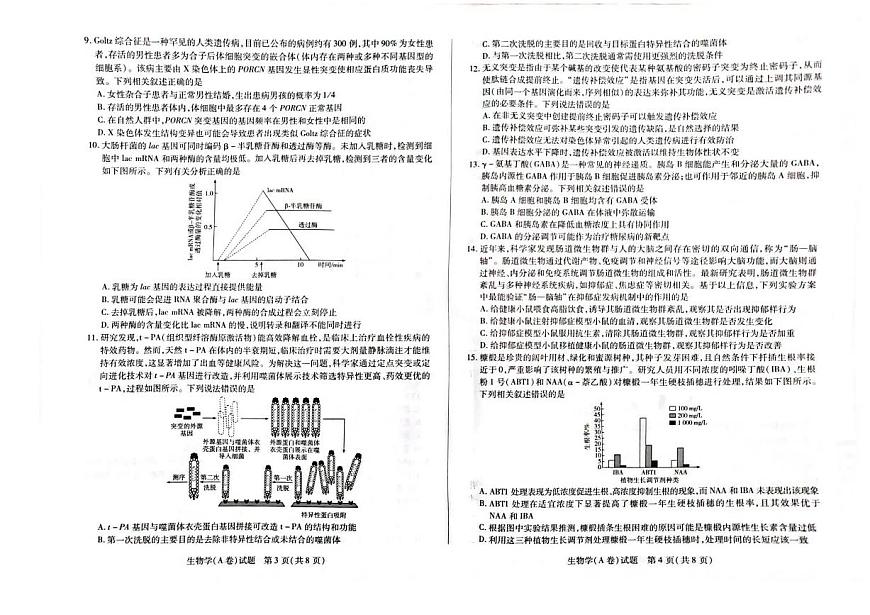 河南省天一大联考2025-2026学年高三上学期顶尖计划（二）生物试题（含答案）第2页