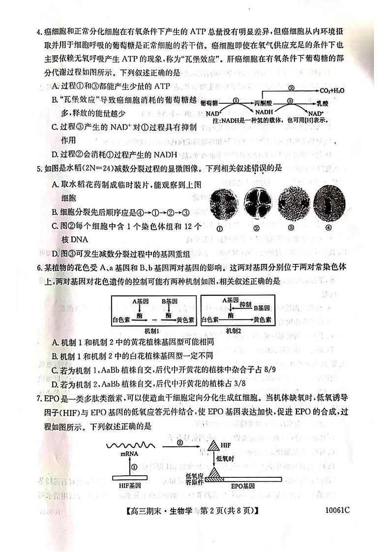 黑龙江省六校联考2024-2025学年高三上学期1月期末生物试卷第2页