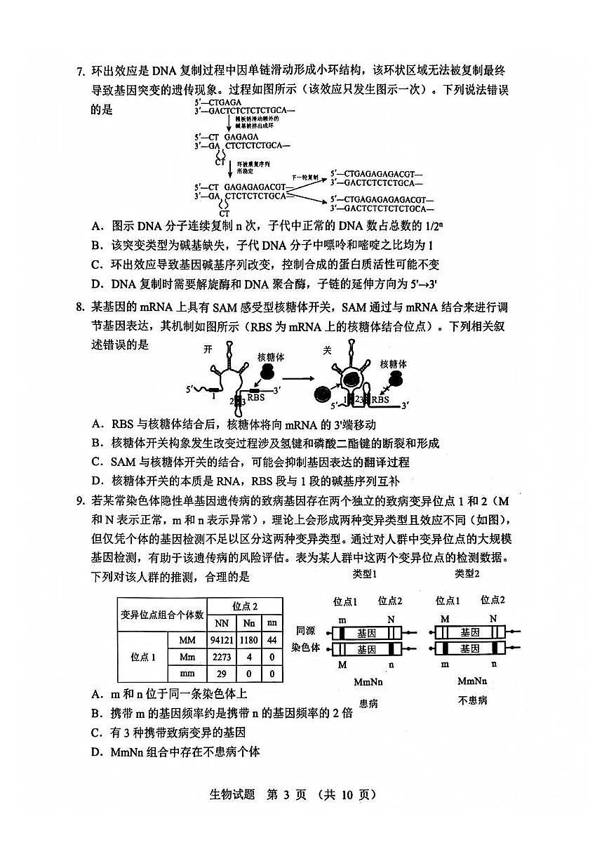 2025-2026学年山东省实验中学高三上学期12月生物试题无答案第3页