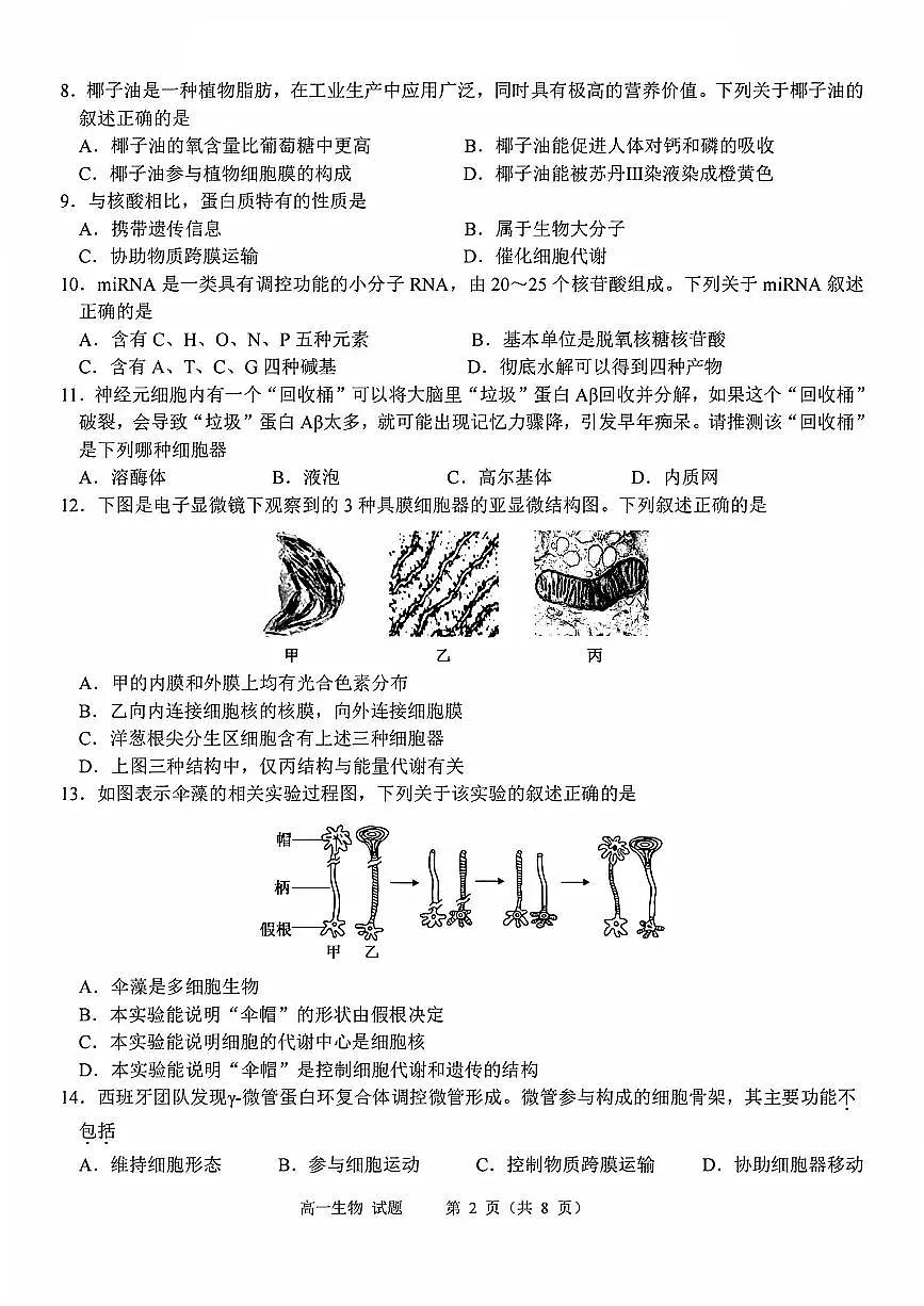 生物试题第2页