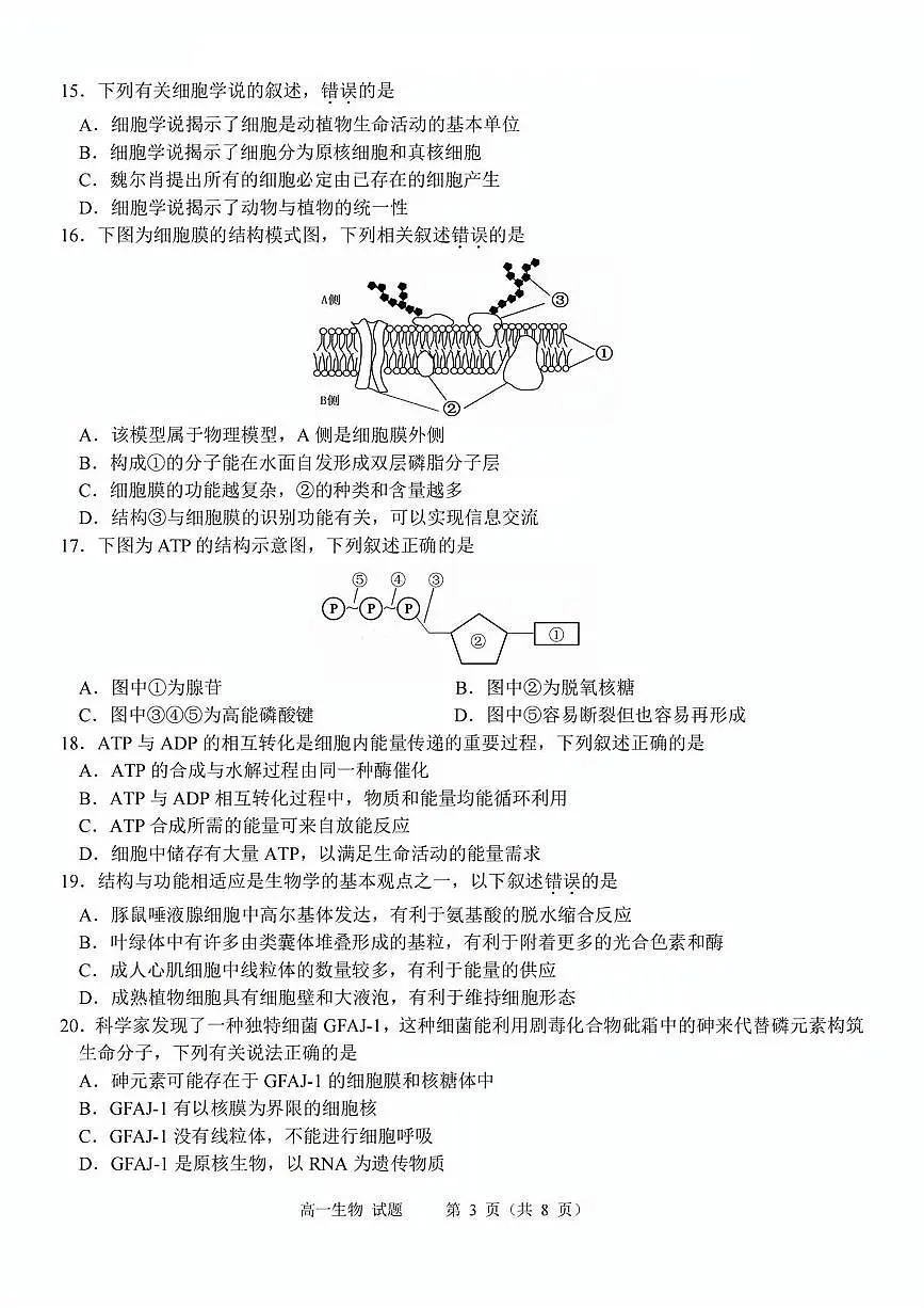 生物试题第3页