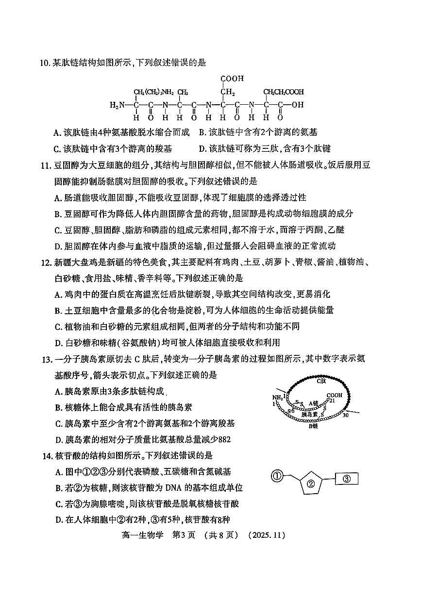 河南省洛阳市2025—2026学年第一学期11月期中考试高一生物试卷第3页