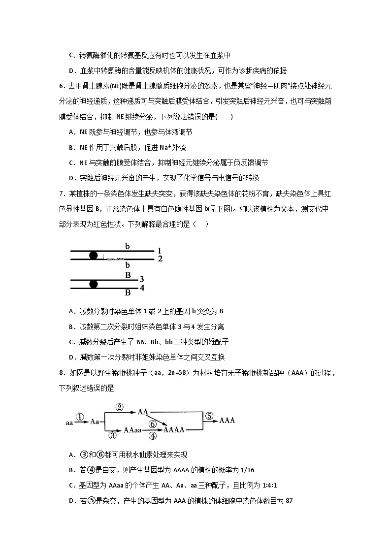 河南省信阳高级中学新校（贤岭校区）2025-2026学年高二上期10月测试（一）生物试题第3页