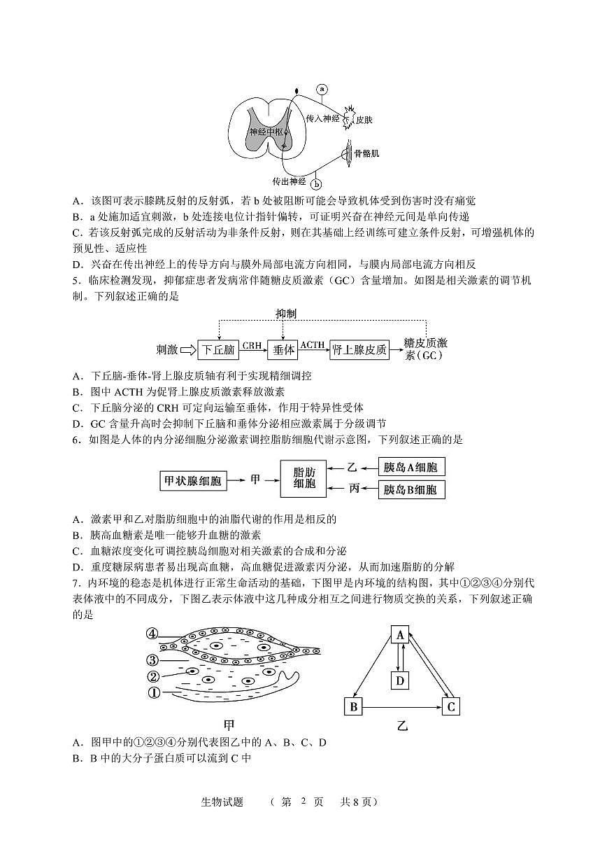 江苏省宿迁中学2025-2026学年高二上学期10月份调研测试生物试题第2页