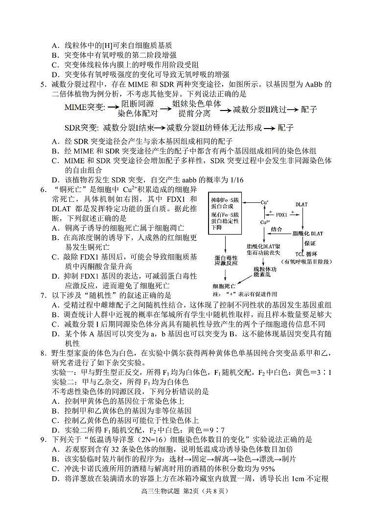 高清件_高三生物试题运河联盟期中第2页