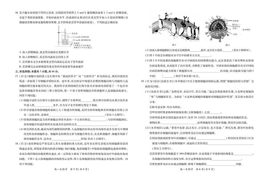 生物-江西省上进联考2025-2026学年高一上学期12月学情检测试题及答案第3页