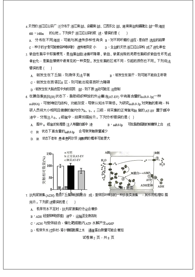广东省东莞市2025-2026学年高三上学期12月期中考试生物试卷第2页