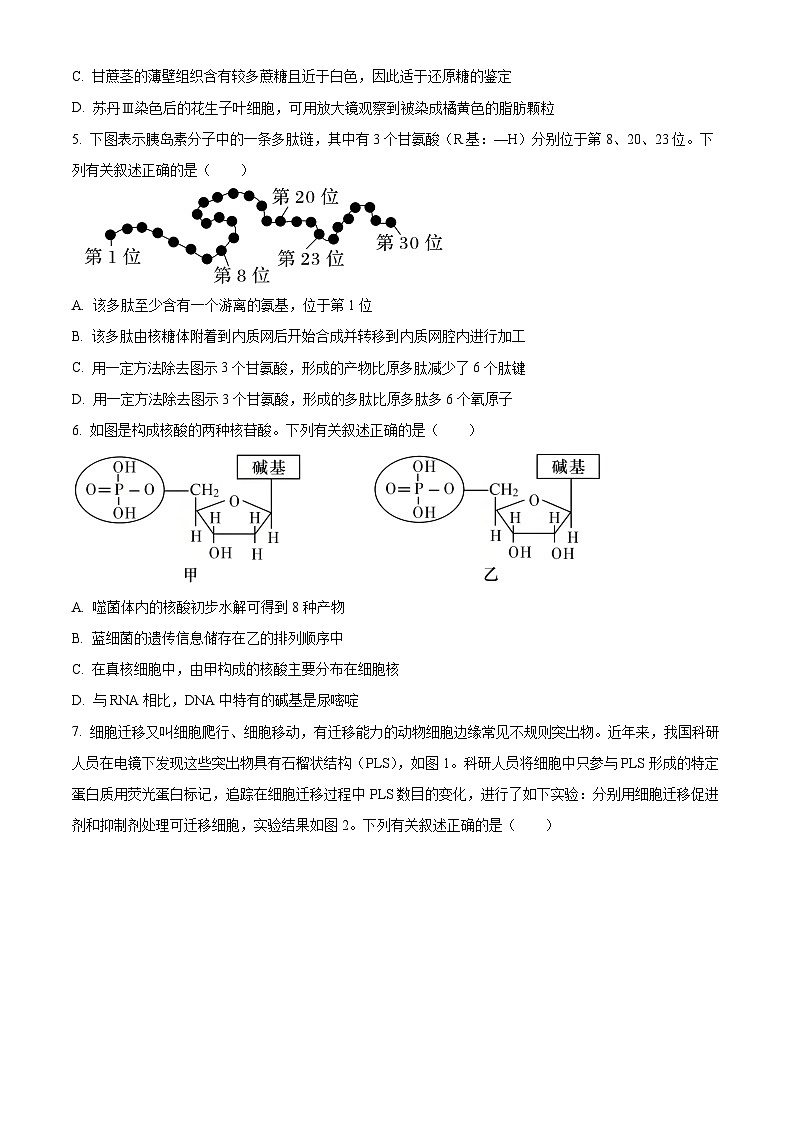 山东省聊城市2025-2026学年高一上学期11月期中生物试题  Word版无答案第2页