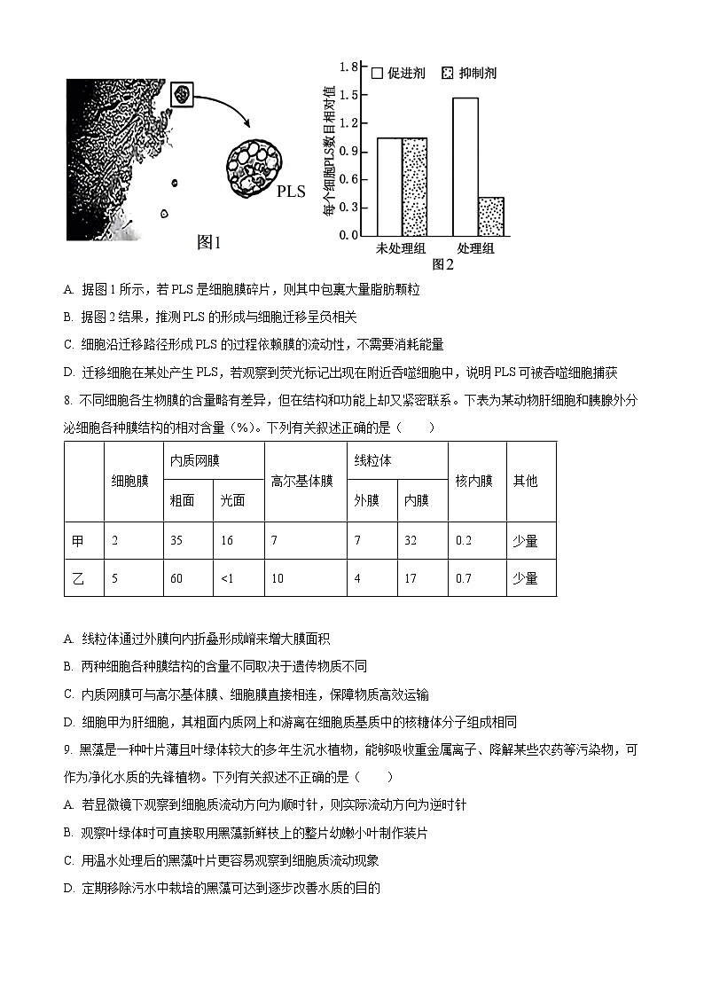 山东省聊城市2025-2026学年高一上学期11月期中生物试题  Word版无答案第3页