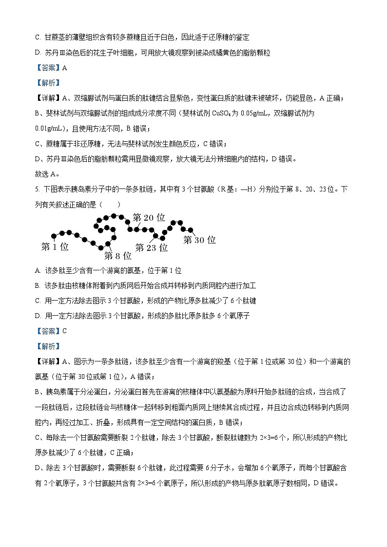 山东省聊城市2025-2026学年高一上学期11月期中生物试题  Word版含解析第3页