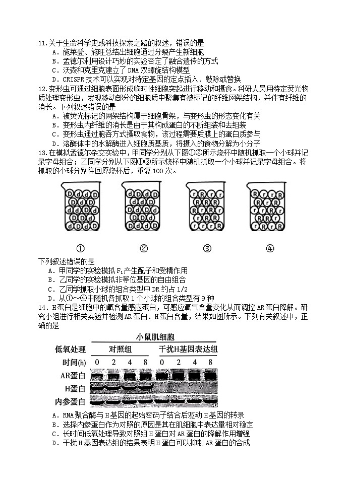 龙东高三生物学12月模拟试卷成稿第3页