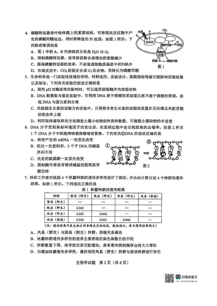 基础教育高质量发展共同体广西接班人教育2026届高三年级上学期适应性测试生物试卷（含答案）第2页