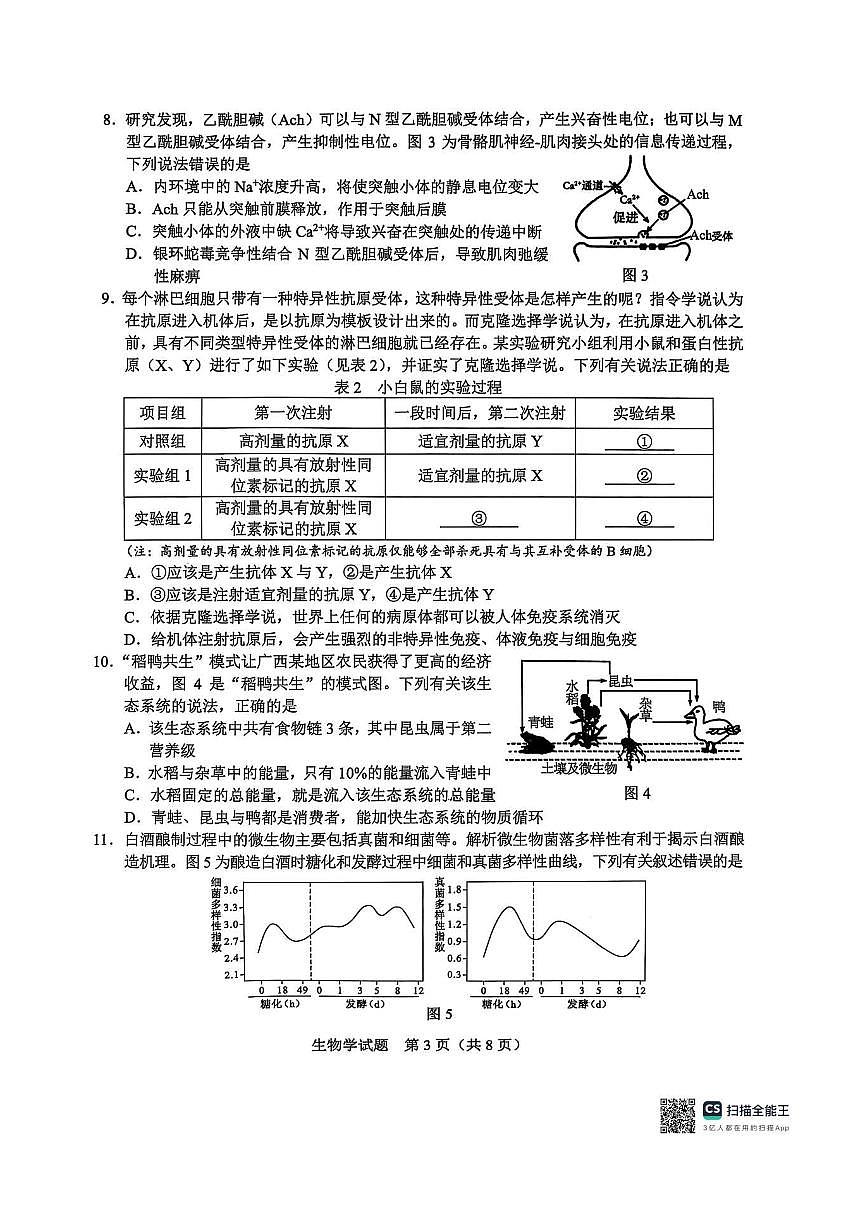 基础教育高质量发展共同体广西接班人教育2026届高三年级上学期适应性测试生物试卷（含答案）第3页