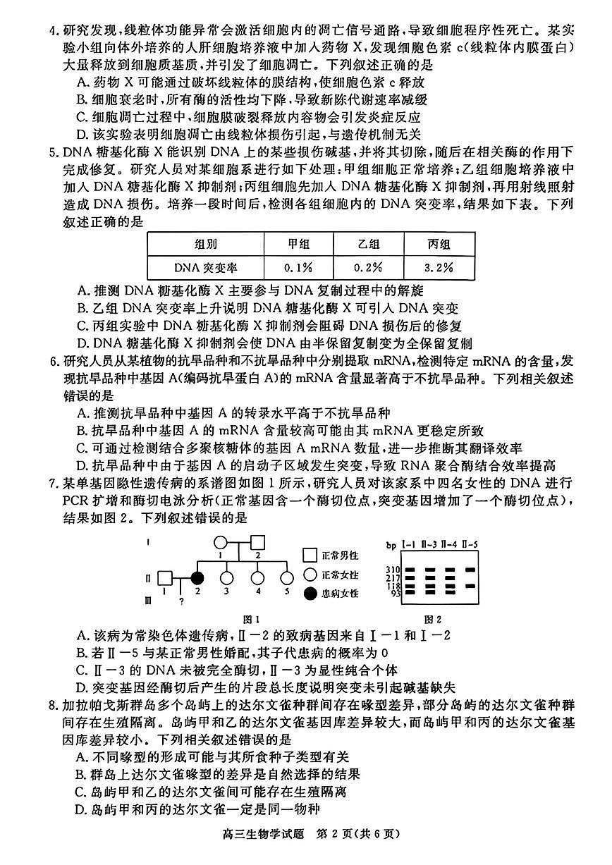 华师联盟河南安徽2025-2026学年高三上学期12月质量检测生物学试卷（含答案）第2页