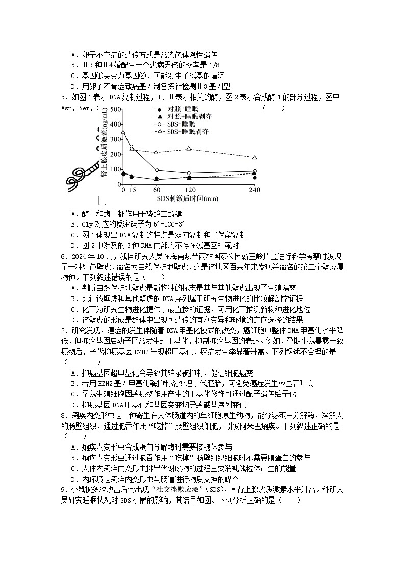 广东省惠州市实验中学2025-2026学年高三上学期12月阶段性检测生物试题第2页