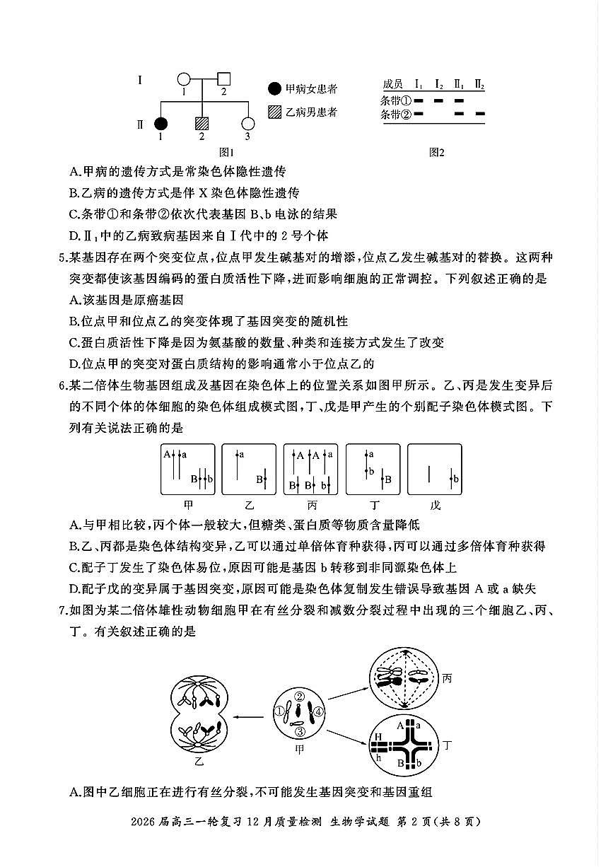 2025-2026学年百师联盟高三上学期12月生物试题及答案第2页