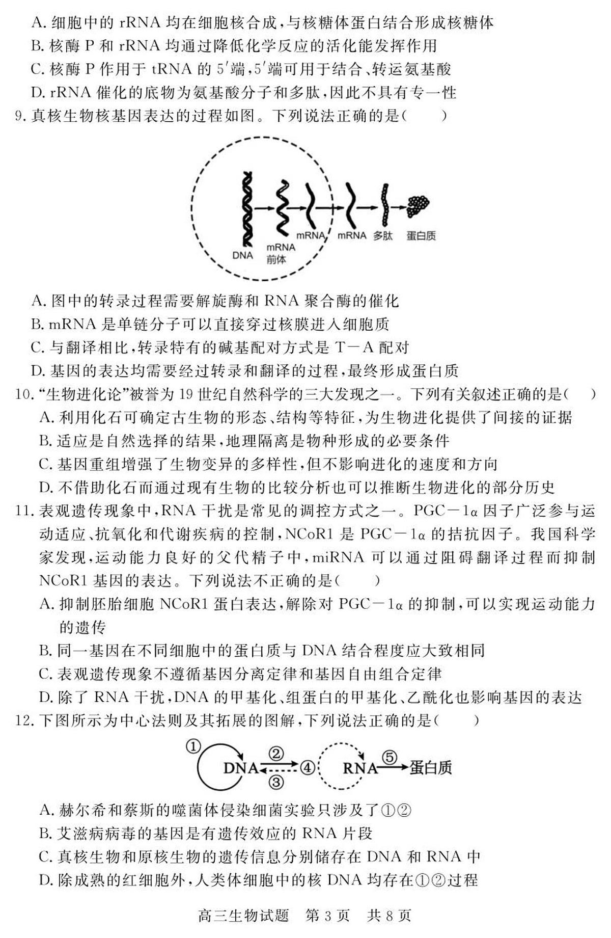 山东省济宁市兖州区2025-2026学年高三上学期期中生物试题第3页