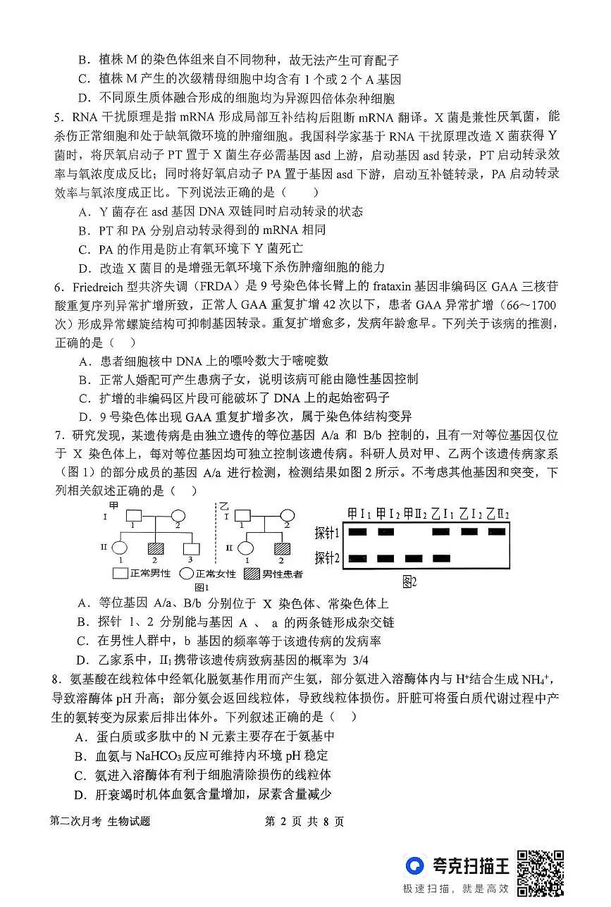 河南省南阳市第一中学校2025-2026学年高三上学期第二次月考生物试卷（含答案）第2页