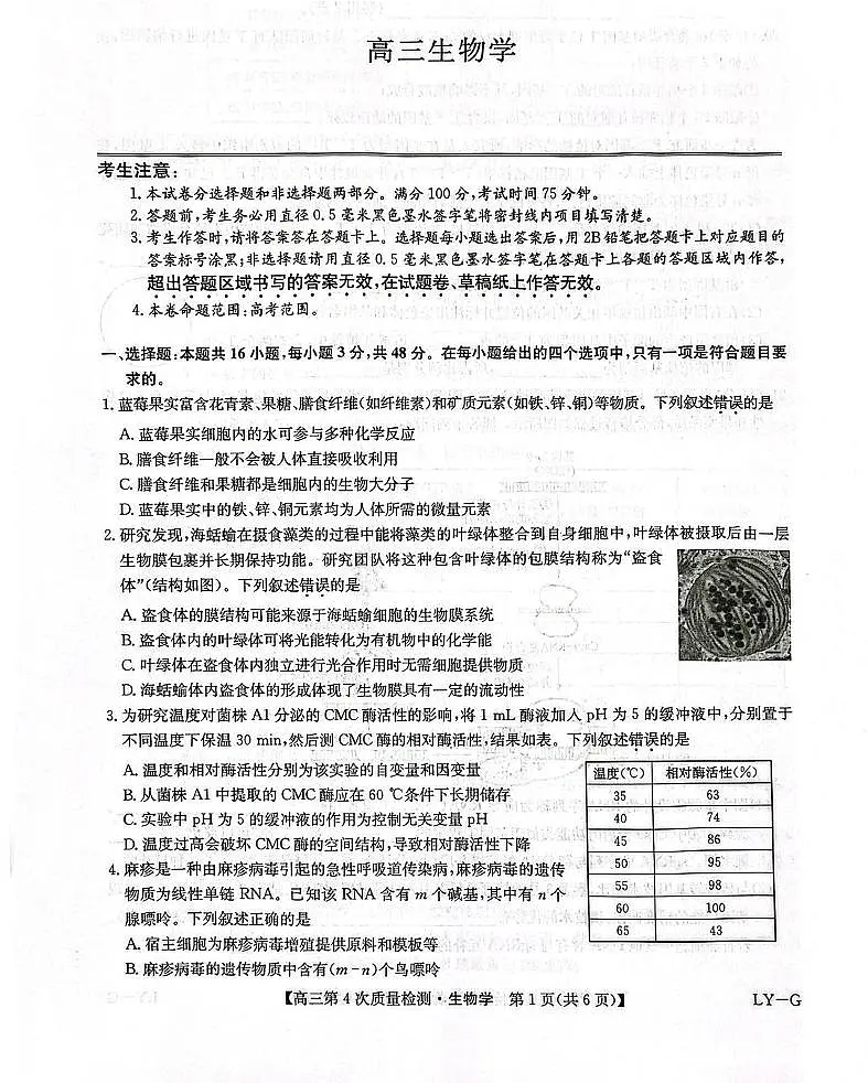 九师联盟2026届高三上学期12月联考（第4次质量检测）生物试卷（含答案）第1页