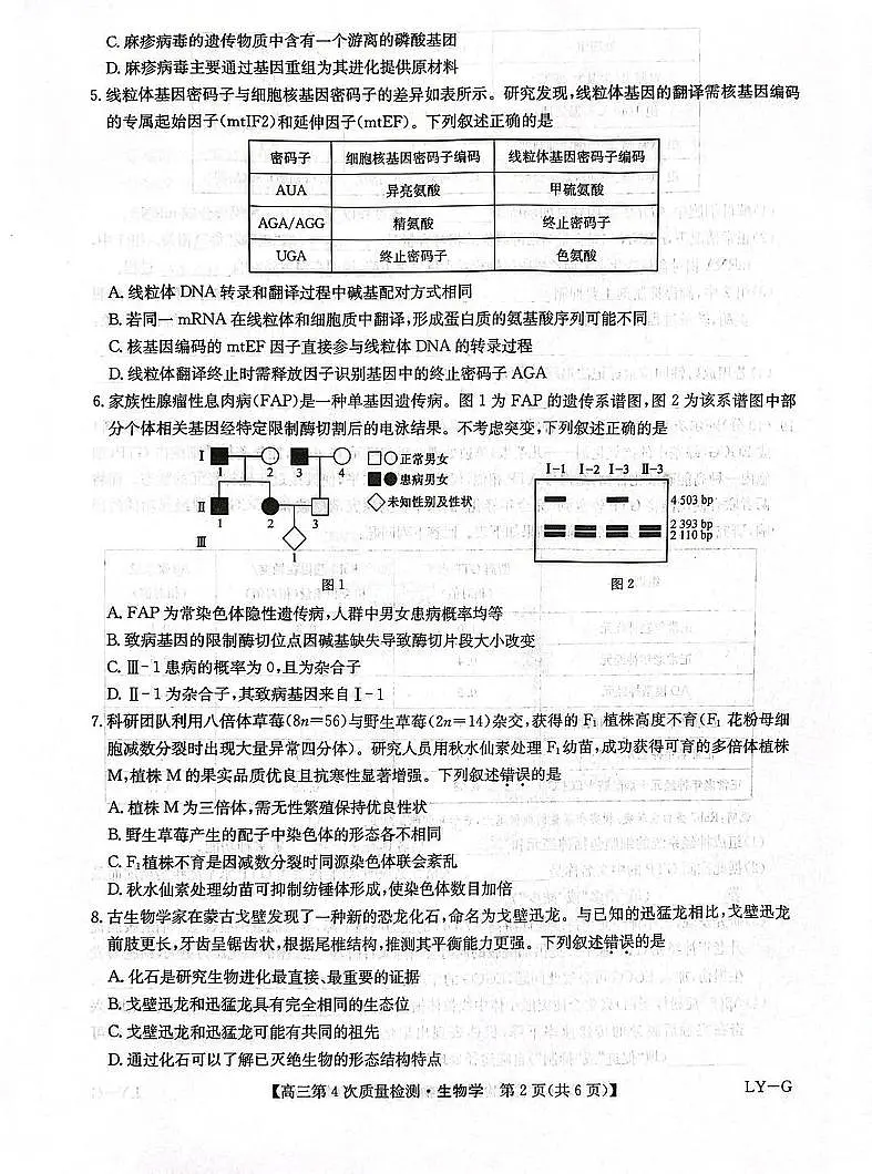 九师联盟2026届高三上学期12月联考（第4次质量检测）生物试卷（含答案）第2页