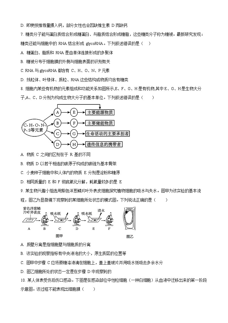 湖南省常德市汉寿县第一中学2025-2026学年高一上学期11月期中考试生物试卷第3页